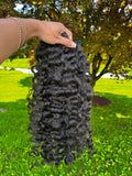 Exotic Indian Curly